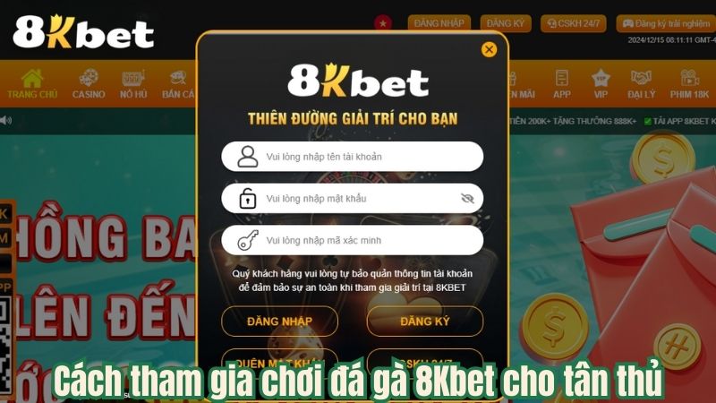 Cách tham gia chơi đá gà 8Kbet cho tân thủ