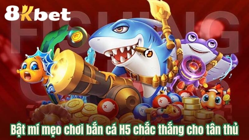 bat-mi-meo-choi-ban-ca-H5-chac-thang-cho-tan-thu